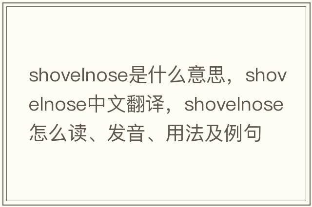 shovelnose是什么意思，shovelnose中文翻譯，shovelnose怎么讀、發(fā)音、用法及例句