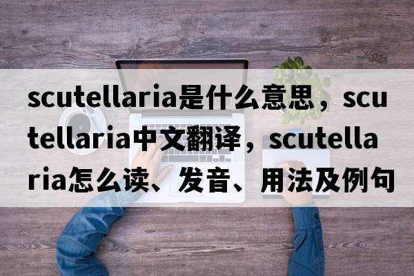 scutellaria是什么意思，scutellaria中文翻譯，scutellaria怎么讀、發(fā)音、用法及例句