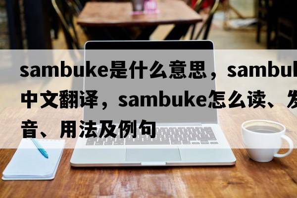 sambuke是什么意思，sambuke中文翻譯，sambuke怎么讀、發(fā)音、用法及例句