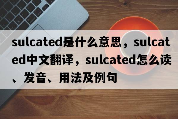 sulcated是什么意思，sulcated中文翻譯，sulcated怎么讀、發(fā)音、用法及例句