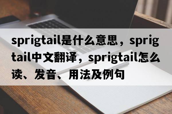 sprigtail是什么意思，sprigtail中文翻譯，sprigtail怎么讀、發(fā)音、用法及例句
