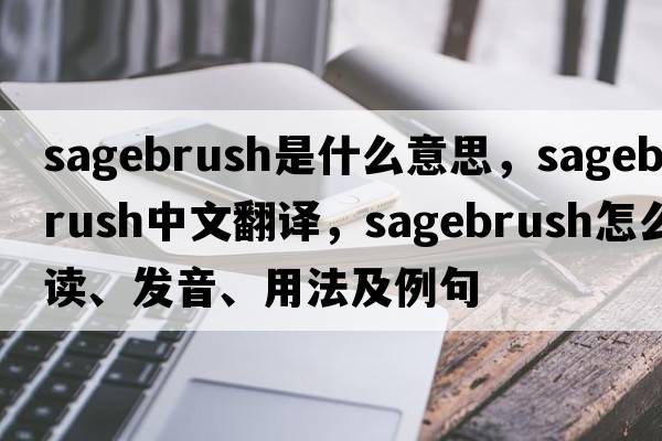 sagebrush是什么意思，sagebrush中文翻譯，sagebrush怎么讀、發(fā)音、用法及例句