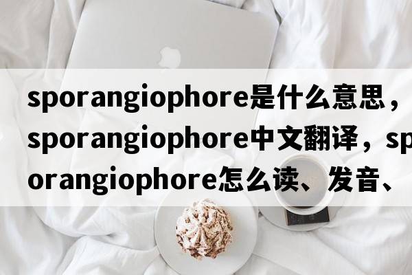 sporangiophore是什么意思，sporangiophore中文翻譯，sporangiophore怎么讀、發(fā)音、用法及例句