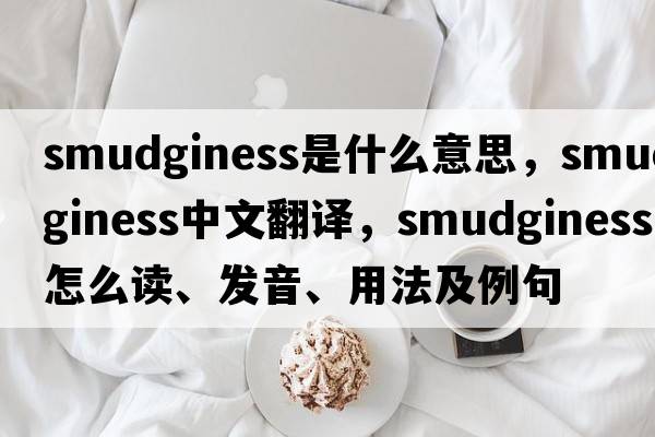smudginess是什么意思，smudginess中文翻譯，smudginess怎么讀、發(fā)音、用法及例句