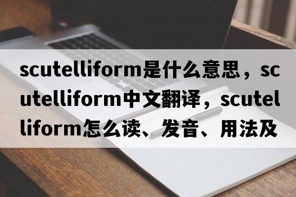 scutelliform是什么意思，scutelliform中文翻譯，scutelliform怎么讀、發(fā)音、用法及例句