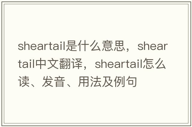 sheartail是什么意思，sheartail中文翻譯，sheartail怎么讀、發(fā)音、用法及例句