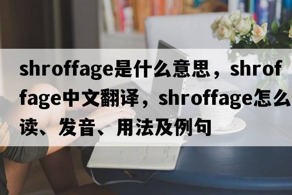 shroffage是什么意思，shroffage中文翻譯，shroffage怎么讀、發(fā)音、用法及例句