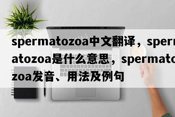 spermatozoa中文翻譯，spermatozoa是什么意思，spermatozoa發(fā)音、用法及例句