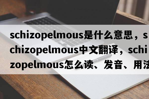 schizopelmous是什么意思，schizopelmous中文翻譯，schizopelmous怎么讀、發(fā)音、用法及例句