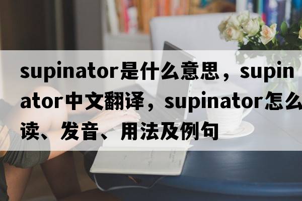 supinator是什么意思，supinator中文翻譯，supinator怎么讀、發(fā)音、用法及例句