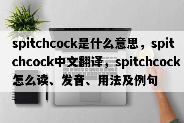 spitchcock是什么意思，spitchcock中文翻譯，spitchcock怎么讀、發(fā)音、用法及例句