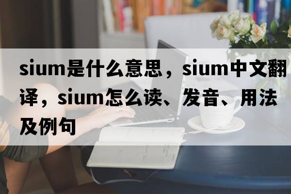 SIUM是什么意思，SIUM中文翻譯，SIUM怎么讀、發(fā)音、用法及例句