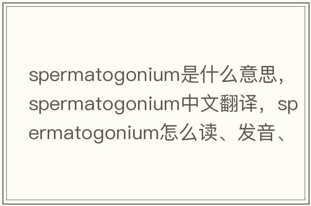 spermatogonium是什么意思，spermatogonium中文翻譯，spermatogonium怎么讀、發(fā)音、用法及例句
