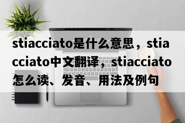 stiacciato是什么意思，stiacciato中文翻譯，stiacciato怎么讀、發(fā)音、用法及例句
