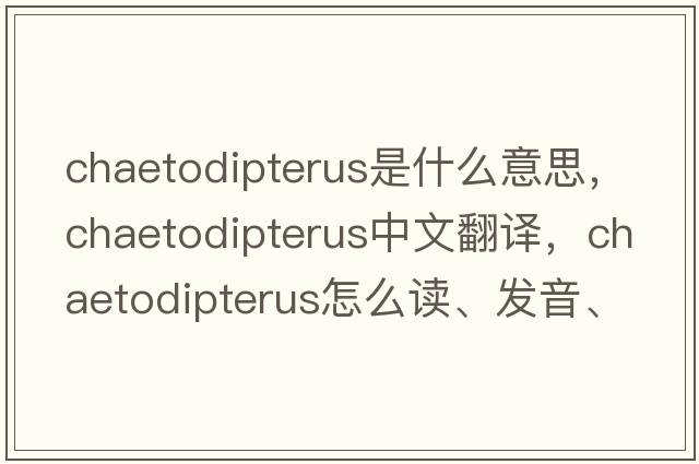Chaetodipterus是什么意思，Chaetodipterus中文翻譯，Chaetodipterus怎么讀、發(fā)音、用法及例句