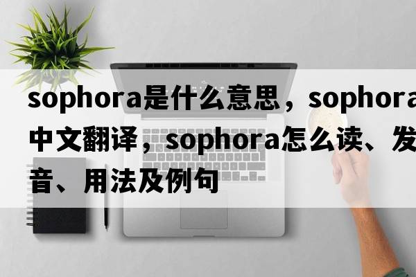 Sophora是什么意思，Sophora中文翻譯，Sophora怎么讀、發(fā)音、用法及例句