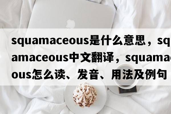 squamaceous是什么意思，squamaceous中文翻譯，squamaceous怎么讀、發(fā)音、用法及例句