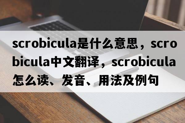 scrobicula是什么意思，scrobicula中文翻譯，scrobicula怎么讀、發(fā)音、用法及例句