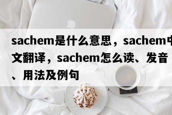 sachem是什么意思，sachem中文翻譯，sachem怎么讀、發(fā)音、用法及例句