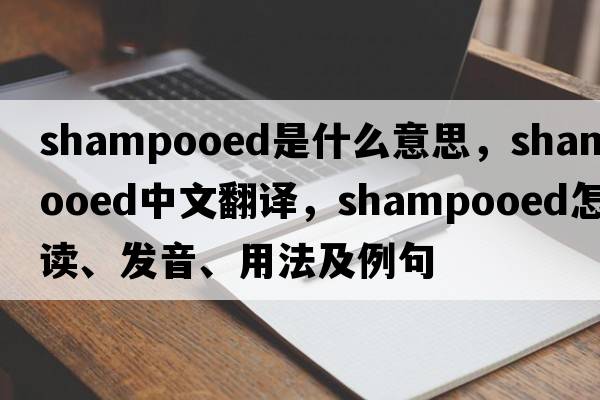 shampooed是什么意思，shampooed中文翻譯，shampooed怎么讀、發(fā)音、用法及例句