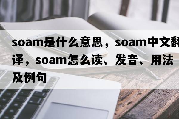 SOAM是什么意思，SOAM中文翻譯，SOAM怎么讀、發(fā)音、用法及例句