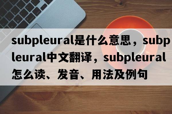 subpleural是什么意思，subpleural中文翻譯，subpleural怎么讀、發(fā)音、用法及例句