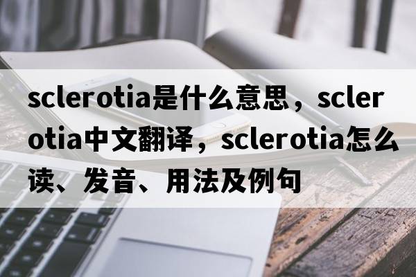sclerotia是什么意思，sclerotia中文翻譯，sclerotia怎么讀、發(fā)音、用法及例句