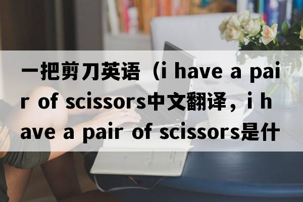 一把剪刀英語（i have a pair of scissors中文翻譯，i have a pair of scissors是什么意思，i have a pair of scissors發(fā)音、用法及例