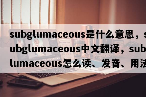subglumaceous是什么意思，subglumaceous中文翻譯，subglumaceous怎么讀、發(fā)音、用法及例句