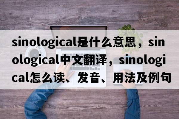 Sinological是什么意思，Sinological中文翻譯，Sinological怎么讀、發(fā)音、用法及例句