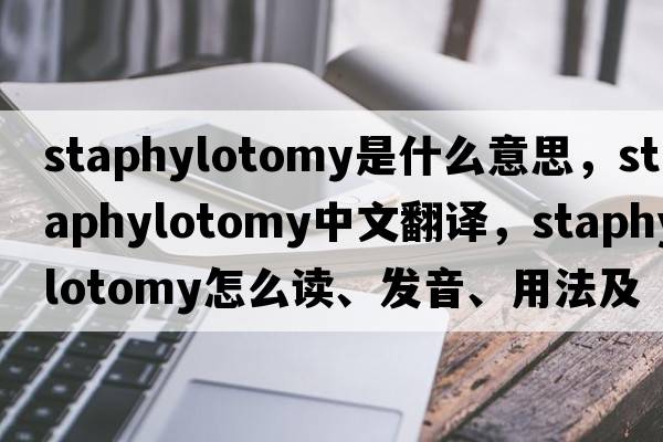 staphylotomy是什么意思，staphylotomy中文翻譯，staphylotomy怎么讀、發(fā)音、用法及例句