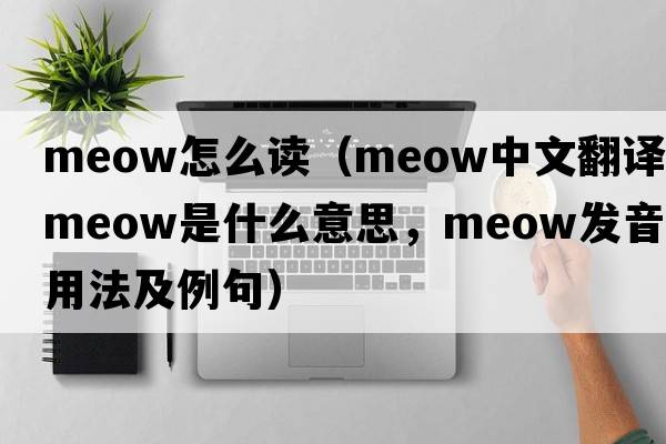 meow怎么讀（meow中文翻譯，meow是什么意思，meow發(fā)音、用法及例句）