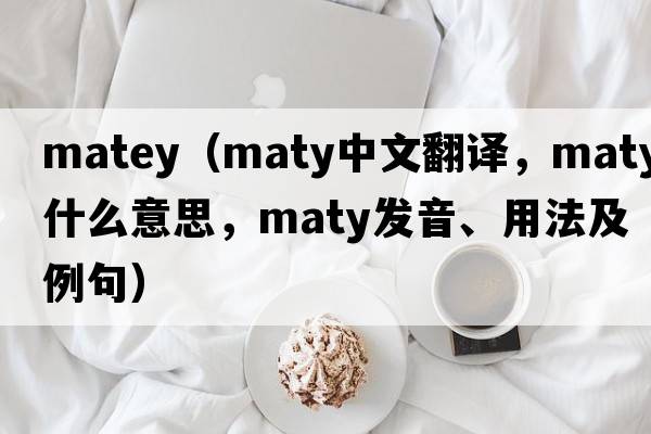 matey（maty中文翻譯，maty是什么意思，maty發(fā)音、用法及例句）