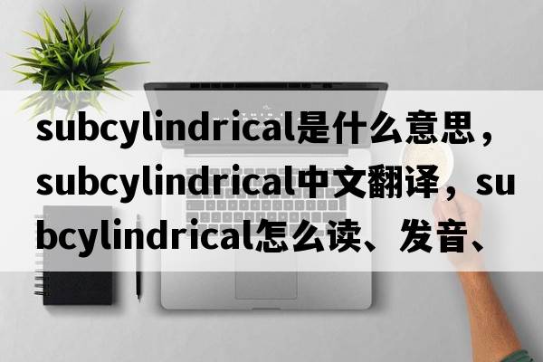 subcylindrical是什么意思，subcylindrical中文翻譯，subcylindrical怎么讀、發(fā)音、用法及例句