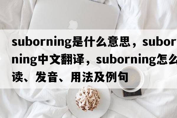 suborning是什么意思，suborning中文翻譯，suborning怎么讀、發(fā)音、用法及例句
