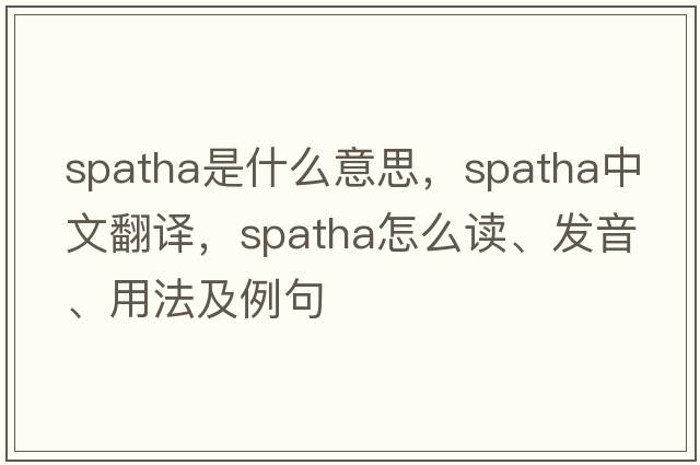spatha是什么意思，spatha中文翻譯，spatha怎么讀、發(fā)音、用法及例句