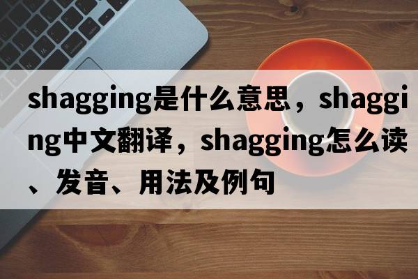 shagging是什么意思，shagging中文翻譯，shagging怎么讀、發(fā)音、用法及例句