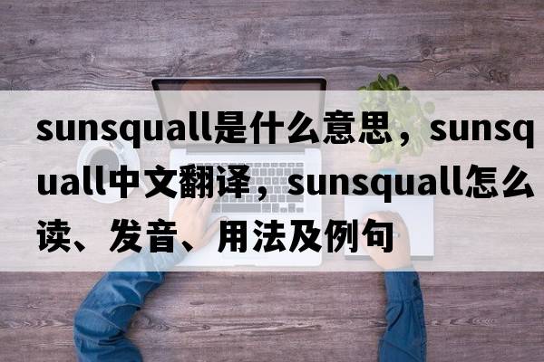 sunsquall是什么意思，sunsquall中文翻譯，sunsquall怎么讀、發(fā)音、用法及例句