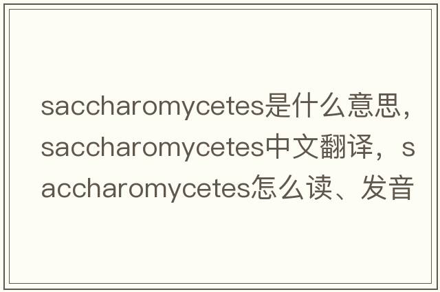saccharomycetes是什么意思，saccharomycetes中文翻譯，saccharomycetes怎么讀、發(fā)音、用法及例句