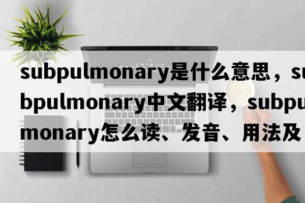 subpulmonary是什么意思，subpulmonary中文翻譯，subpulmonary怎么讀、發(fā)音、用法及例句