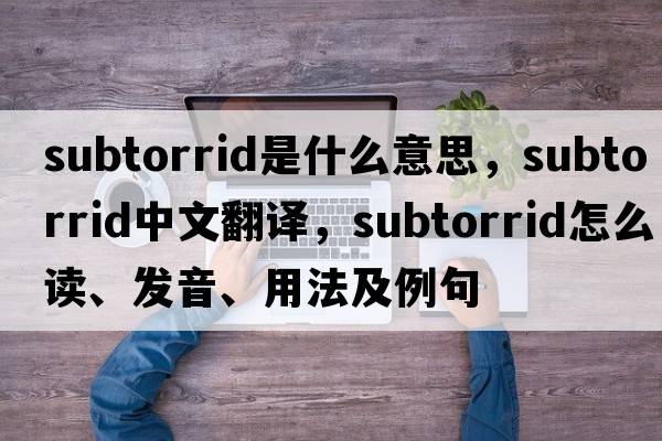 subtorrid是什么意思，subtorrid中文翻譯，subtorrid怎么讀、發(fā)音、用法及例句