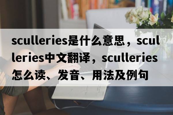sculleries是什么意思，sculleries中文翻譯，sculleries怎么讀、發(fā)音、用法及例句