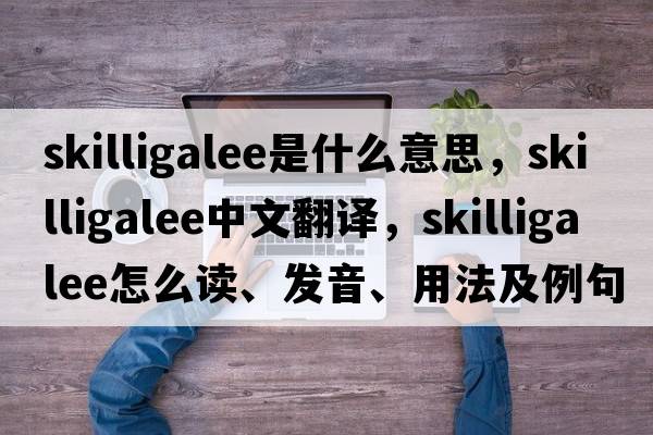 skilligalee是什么意思，skilligalee中文翻譯，skilligalee怎么讀、發(fā)音、用法及例句
