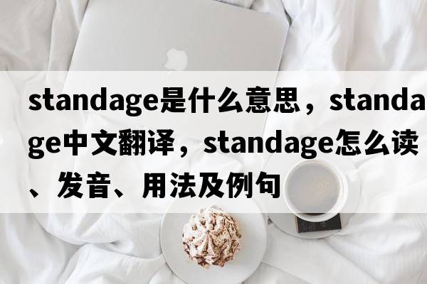 standage是什么意思，standage中文翻譯，standage怎么讀、發(fā)音、用法及例句