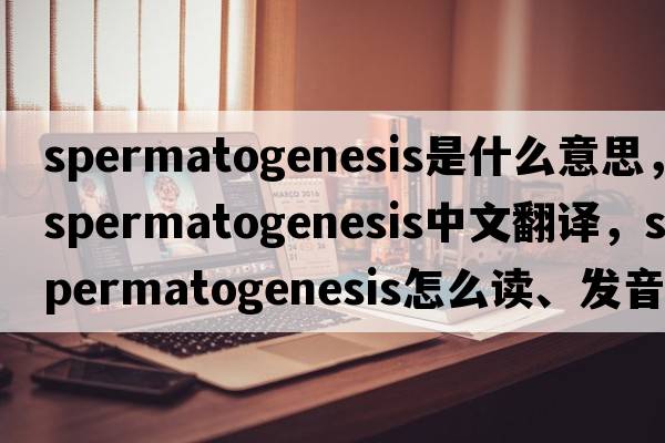 spermatogenesis是什么意思，spermatogenesis中文翻譯，spermatogenesis怎么讀、發(fā)音、用法及例句