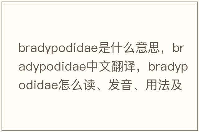 Bradypodidae是什么意思，Bradypodidae中文翻譯，Bradypodidae怎么讀、發(fā)音、用法及例句