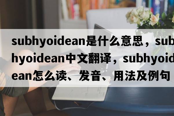 subhyoidean是什么意思，subhyoidean中文翻譯，subhyoidean怎么讀、發(fā)音、用法及例句