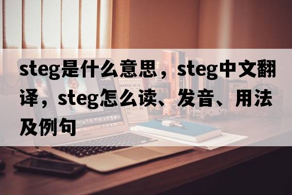 STEG是什么意思，STEG中文翻譯，STEG怎么讀、發(fā)音、用法及例句