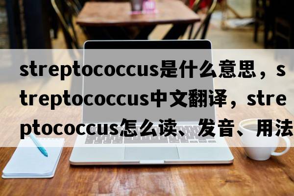streptococcus是什么意思，streptococcus中文翻譯，streptococcus怎么讀、發(fā)音、用法及例句