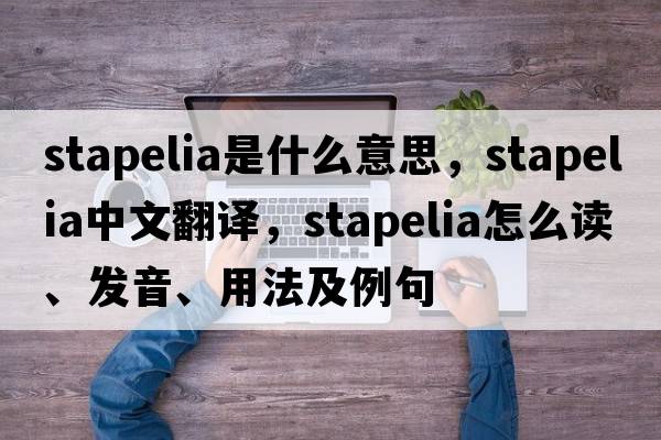 stapelia是什么意思，stapelia中文翻譯，stapelia怎么讀、發(fā)音、用法及例句